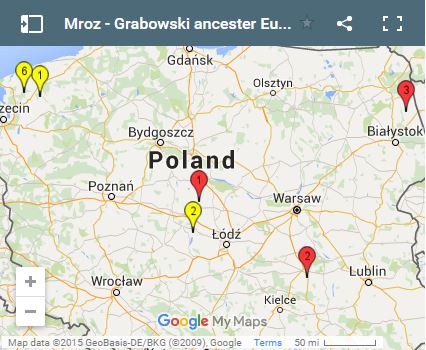 Mroz - Grabowski ancester European Origin